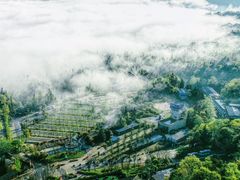 -碧峰峡风景区