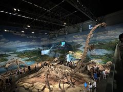 -自贡恐龙博物馆