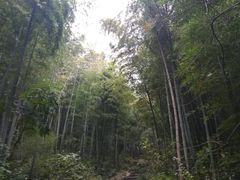 -南山风景名胜区