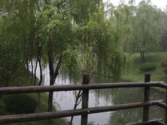 -合肥三国新城遗址公园