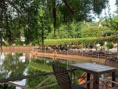 -侯臣咖啡文化村