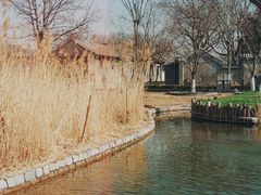-春风习习