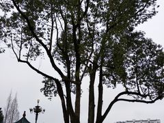 -泰宁旅游风景名胜区