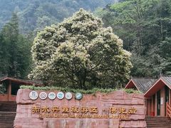 -赤水丹霞旅游区·佛光岩