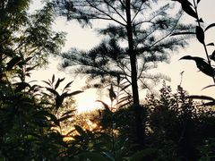 -新江湾城公园