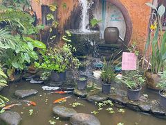 -园林美食城·本土农家菜(杨和镇店)