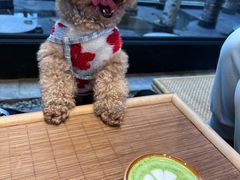 -Metal hands·铁手咖啡