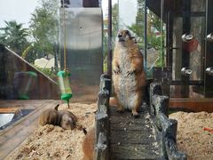 -珠海海泉湾神秘岛亲子乐园