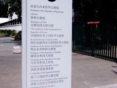-三里屯东五街银杏大道