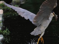 -重庆彩云湖湿地公园