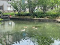 -同里国家湿地公园