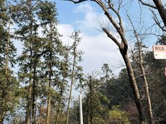 -冶父山国家森林公园