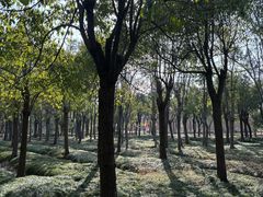 -嘉北郊野公园