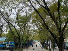 -深圳野生动物园