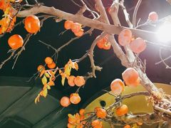 -佬肥猫(国华广场店)