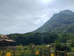 -禅宗少林·音乐大典