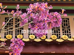 -天竺岩寺