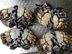 -小陆莲花蟹园农家乐(莲花岛店)