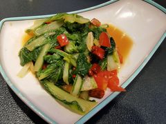 -青之口新疆菜·特色羊排揪片子