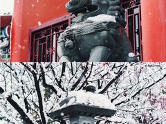 -开福禅寺