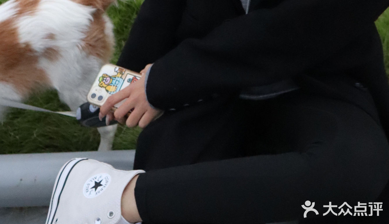 我的小狗狗很可爱🐶和狗狗营业啦