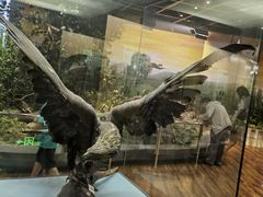 -陕西自然博物馆