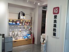 -爱洗澡的猫(望京店)