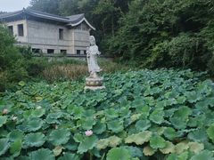 -禅宗三祖寺