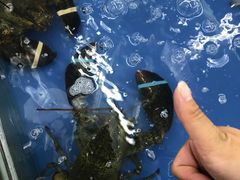-日照大牌檔•小船海鲜(万平口店)