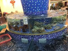 -太子园林酒家