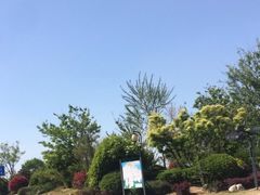 -宝龙广场(蓬莱区)