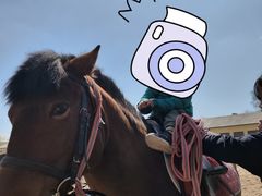 -北京群众马术培训基地