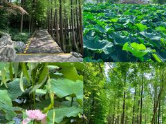 -云龙湖旅游景区