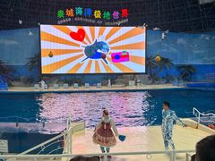-泉城欧乐堡海洋极地世界