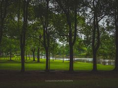 -上海辰山植物园