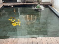 -觀芷隐轩