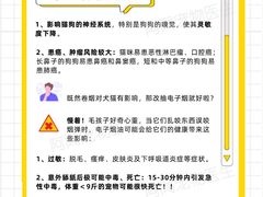 -瑞鹏宠物医院犬猫全科(真大分院)