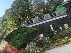 -仙岳公园