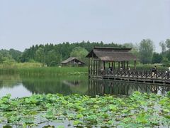 -溱湖国家湿地公园