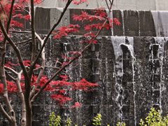 -楚秀园