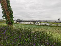 -中国天府农业博览园