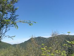 -妙峰山风景名胜区