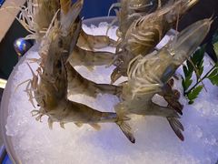 -王家渡火锅店(棕榈泉店)