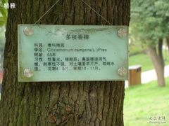 -重庆市江北嘴中央商务区中央公园