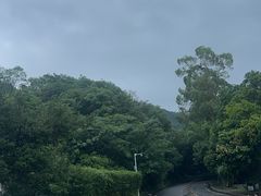 -大雁山风景区