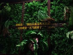 -彩虹之约•淮扬家宴(亚运村店)