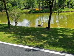 -佛冈森波拉度假区