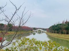 -上海海湾国家森林公园