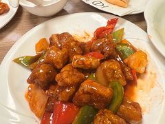 -百福麵家(新馬路店)