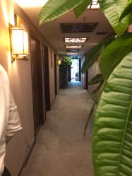 -清悦SPA美容